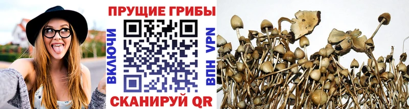Псилоцибиновые грибы прущие грибы  где купить наркотик  Холмск 