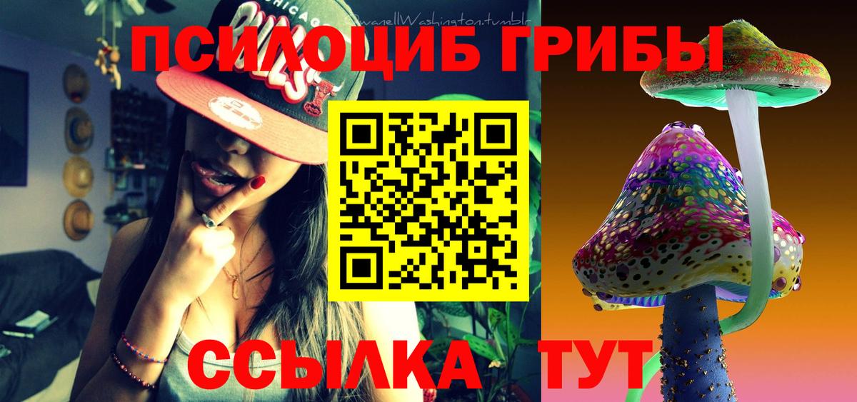 Псилоцибиновые грибы прущие грибы  цены наркотик  Холмск  Вход с VPN 