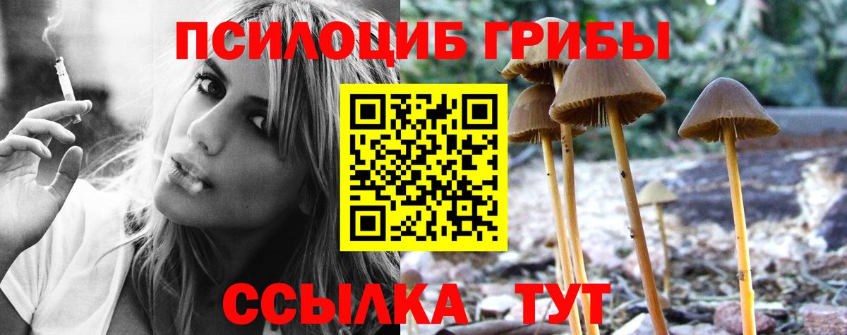Псилоцибиновые грибы ЛСД Холмск