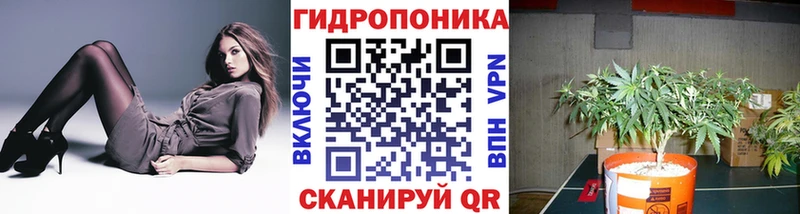 Конопля планчик  как найти закладки  Холмск 
